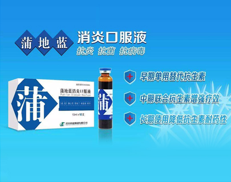 蒲地蓝消炎药